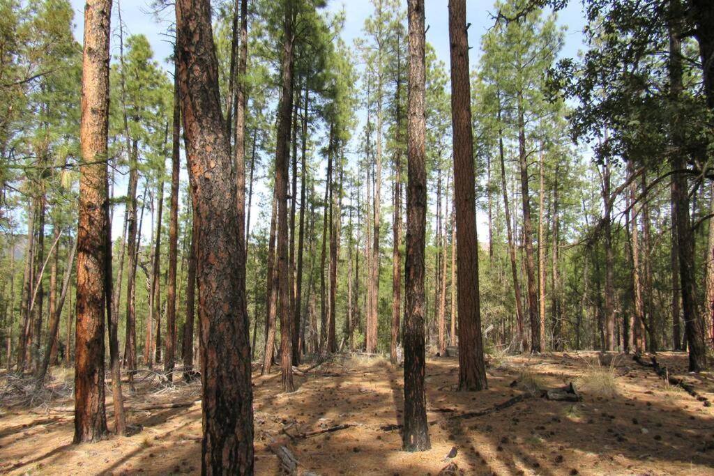 Forest Cabin 7 Seventh Heaven Payson Εξωτερικό φωτογραφία